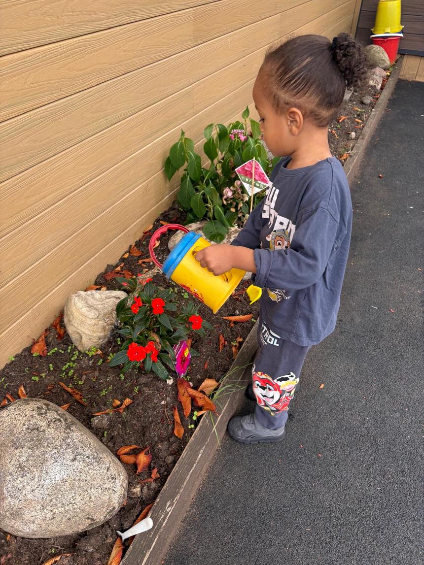 A child watering red flowers in the nursery garden